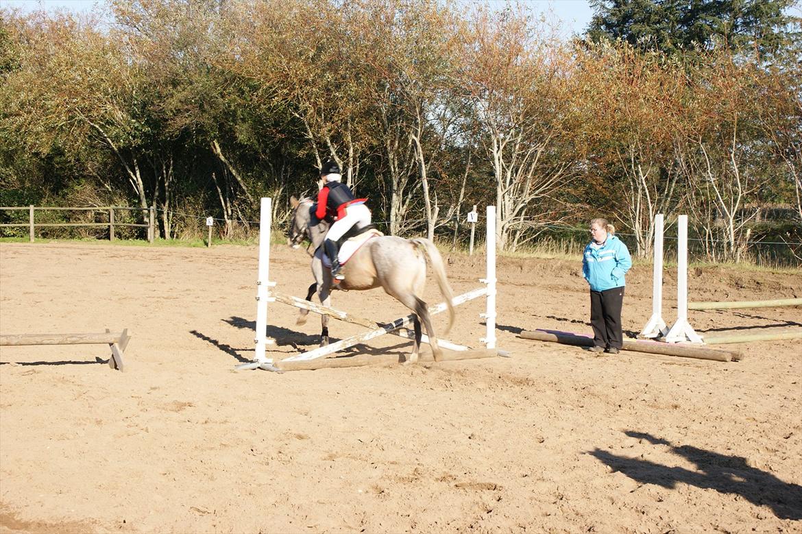 Cosmopolitan billede 13