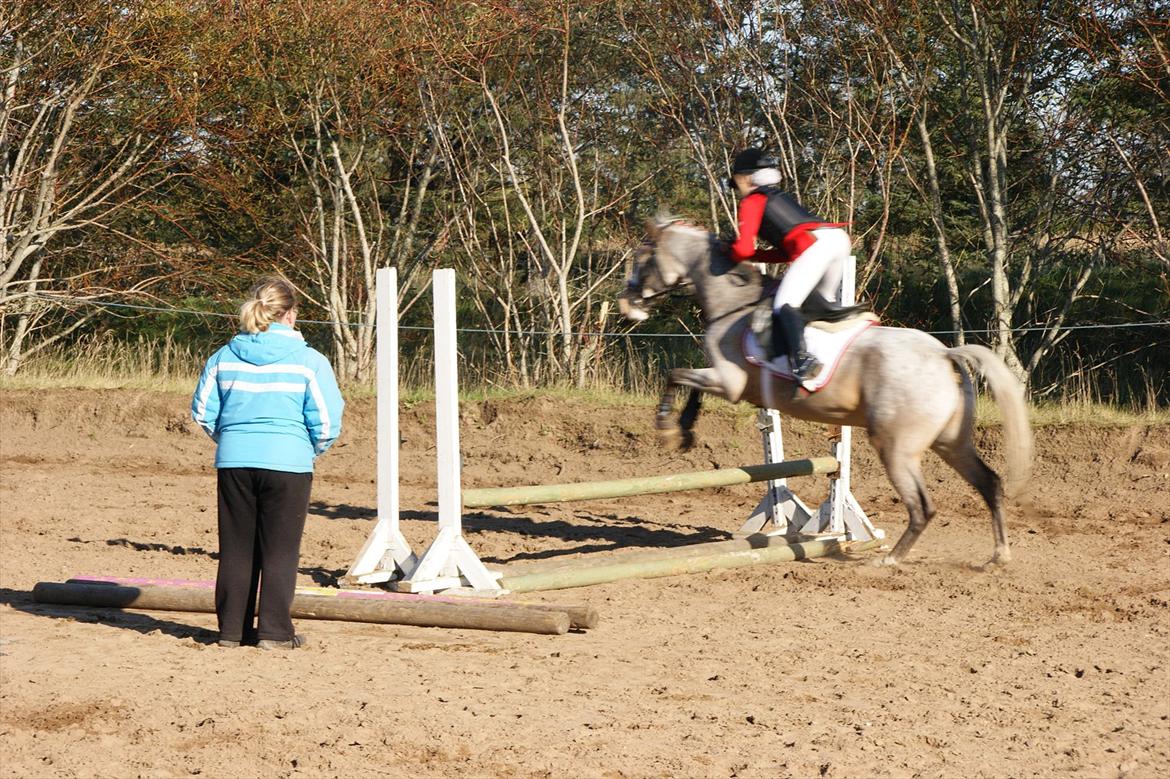 Cosmopolitan billede 14