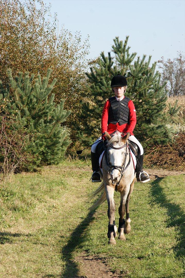 Cosmopolitan billede 15