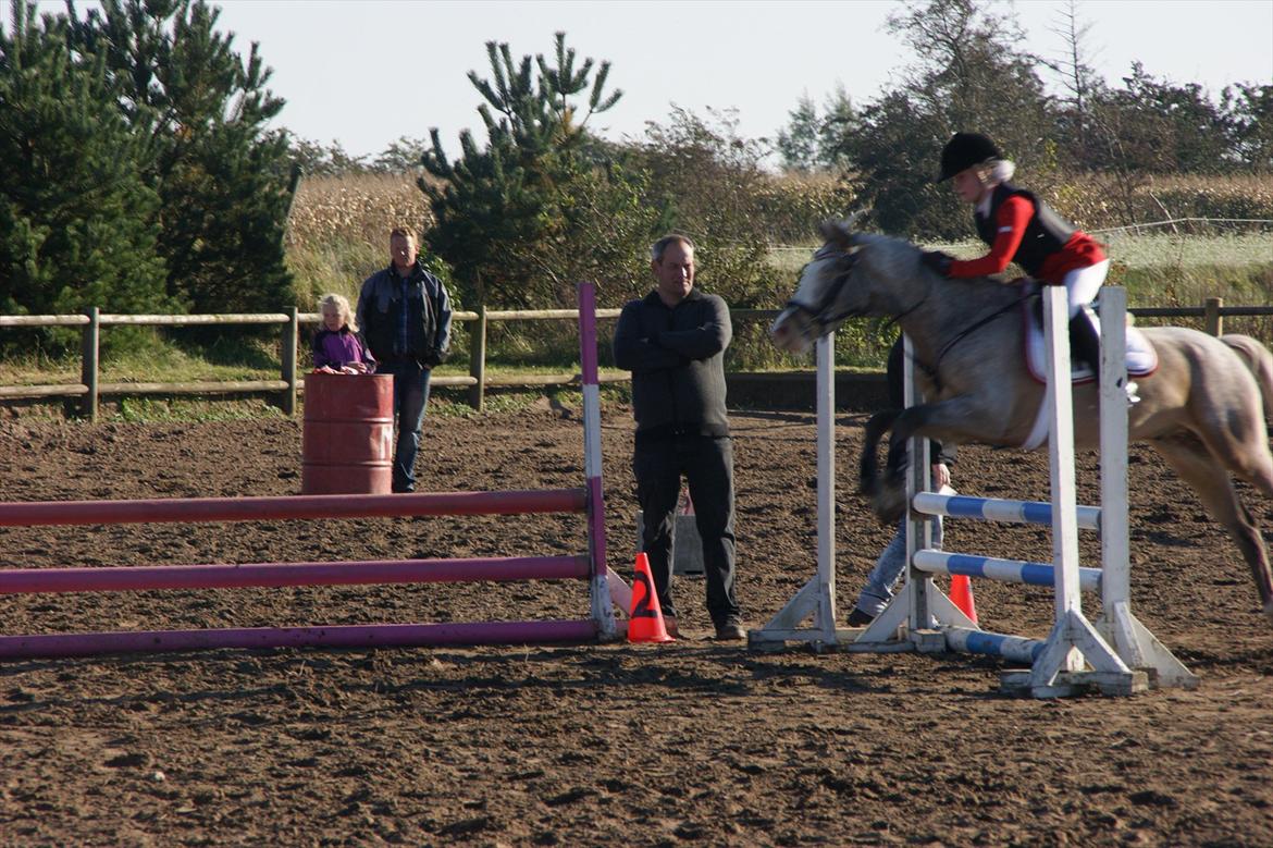 Cosmopolitan billede 16