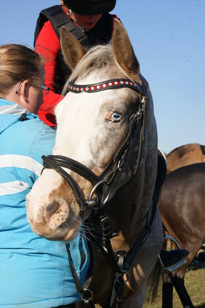 Cosmopolitan billede 18