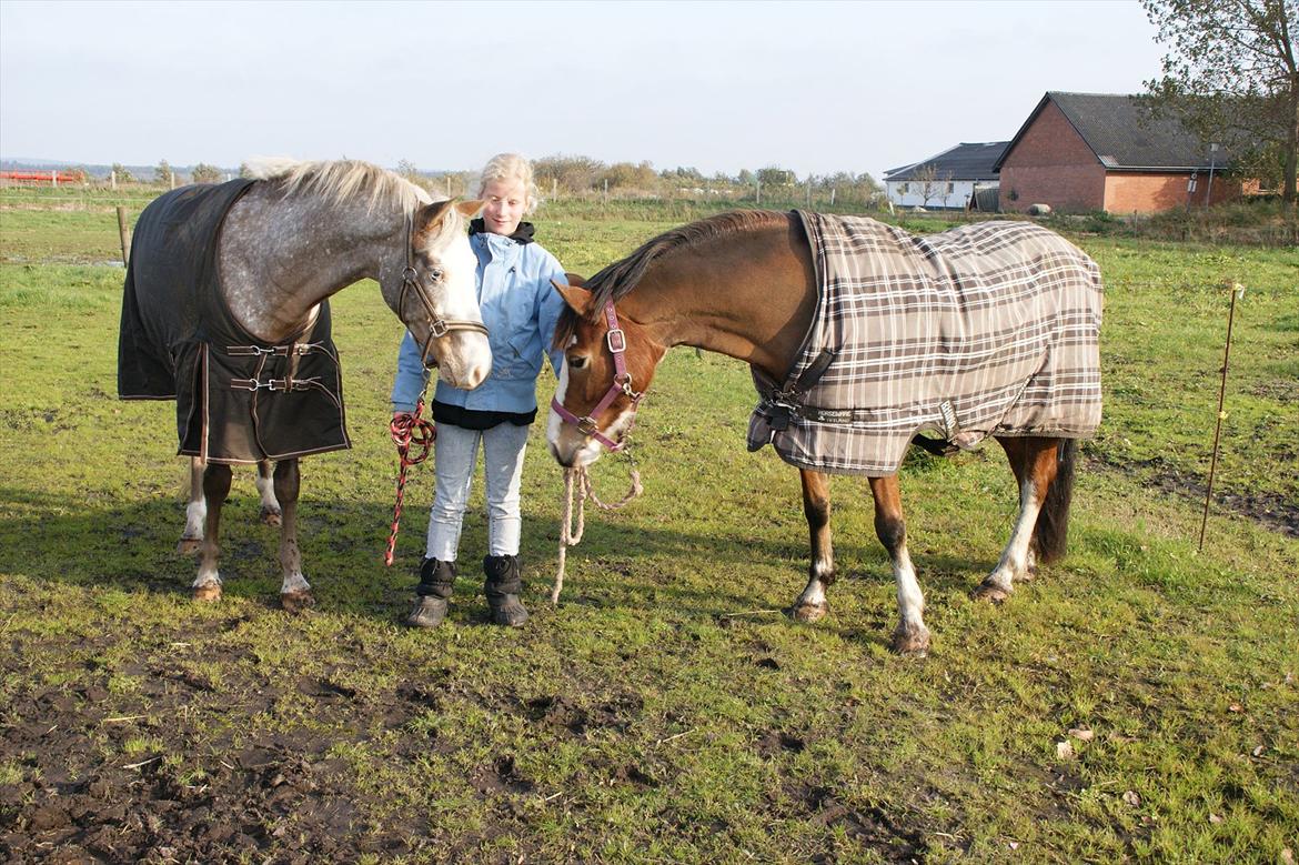 Cosmopolitan billede 21