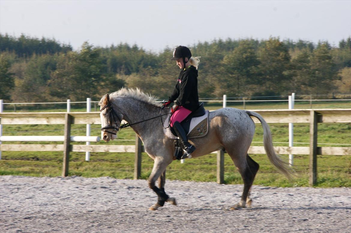 Cosmopolitan billede 22