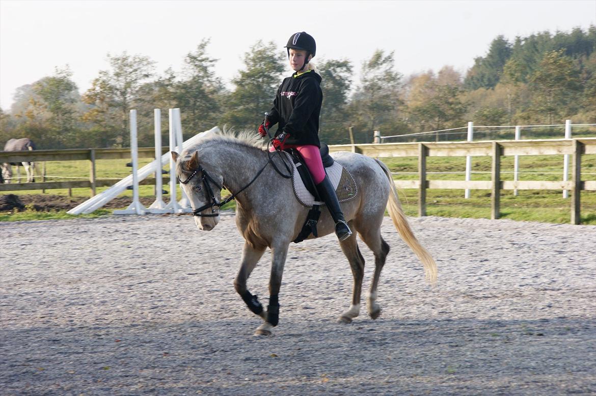 Cosmopolitan billede 23