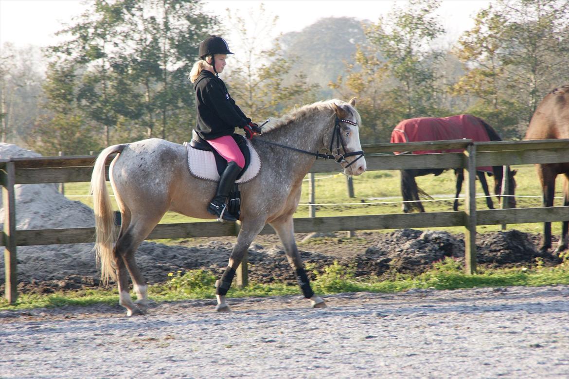 Cosmopolitan billede 24