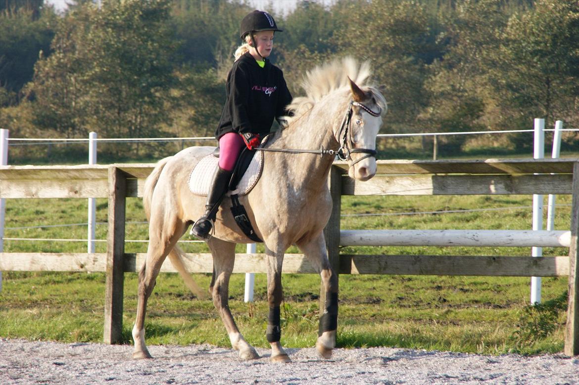 Cosmopolitan billede 25