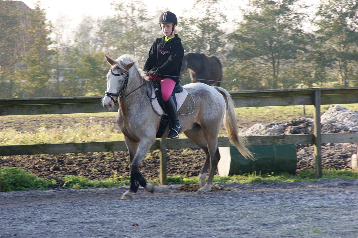 Cosmopolitan billede 26