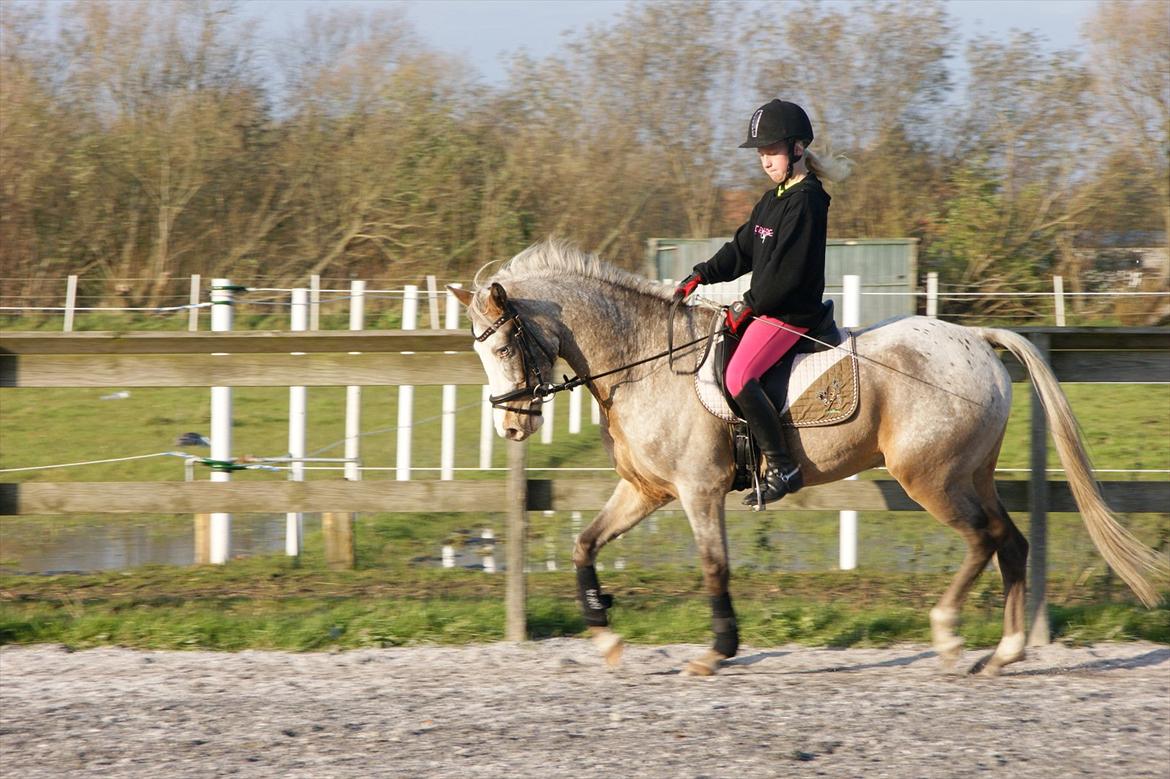 Cosmopolitan billede 27