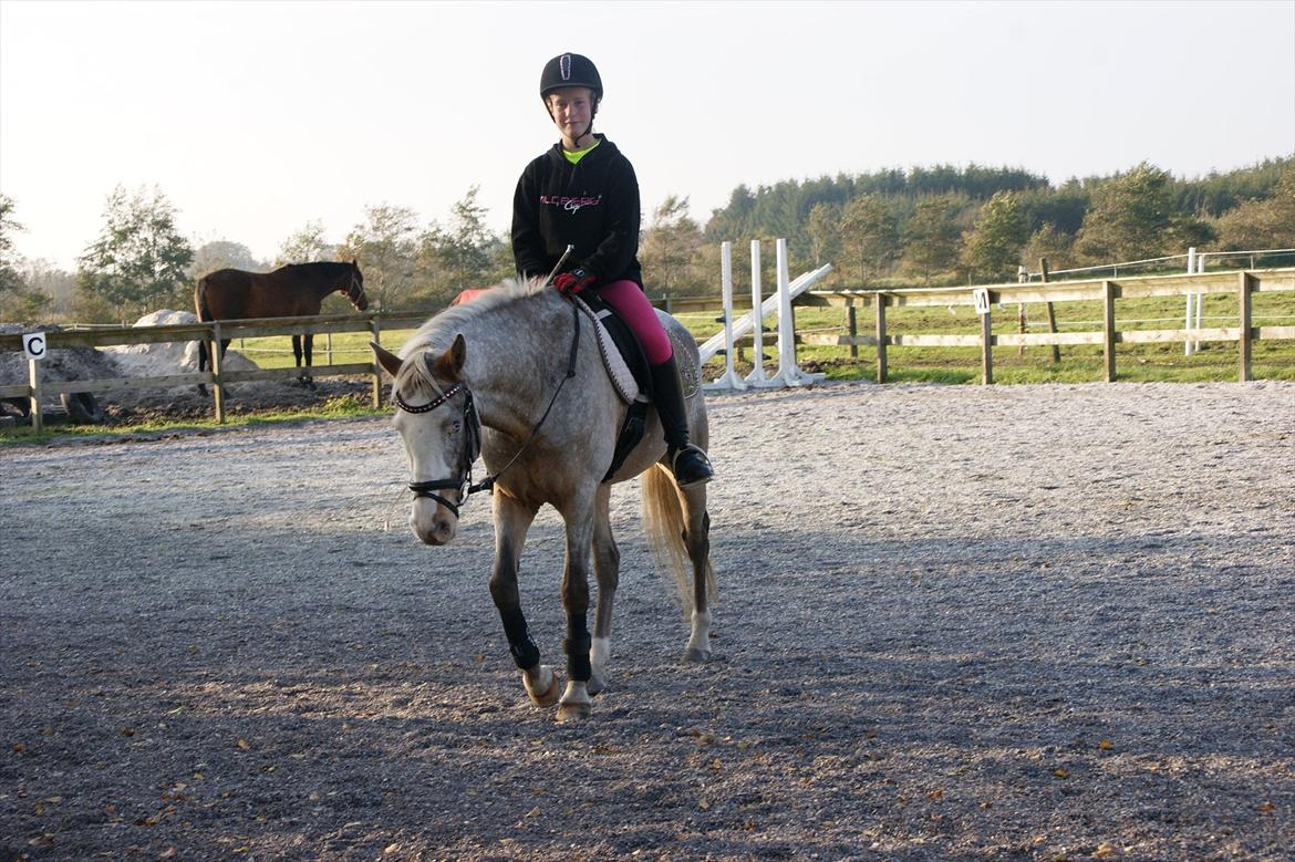 Cosmopolitan billede 28