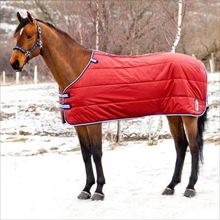 ».- jeg mangler penge xD  - horze detroit stald/inderdækken 250 gsm billede 11