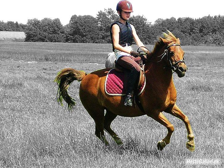 Billeder, tegninger osv. - Minnie :) billede 7