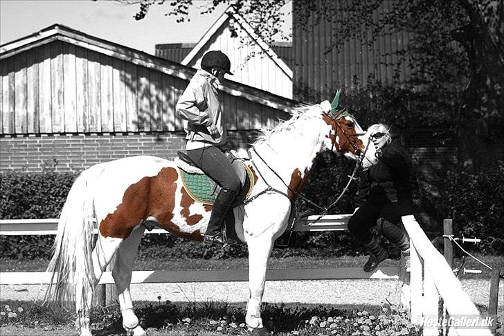 Billeder, tegninger osv. billede 13