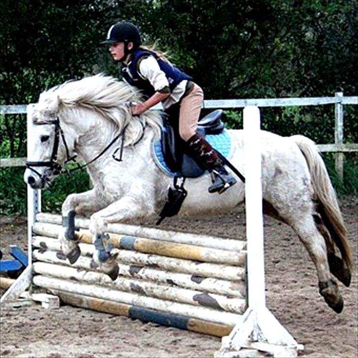 Billeder, tegninger osv. billede 14