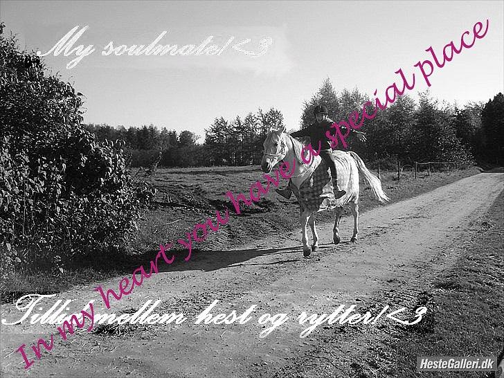 Billeder, tegninger osv. billede 15