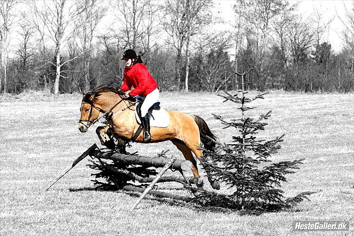 Billeder, tegninger osv. billede 17