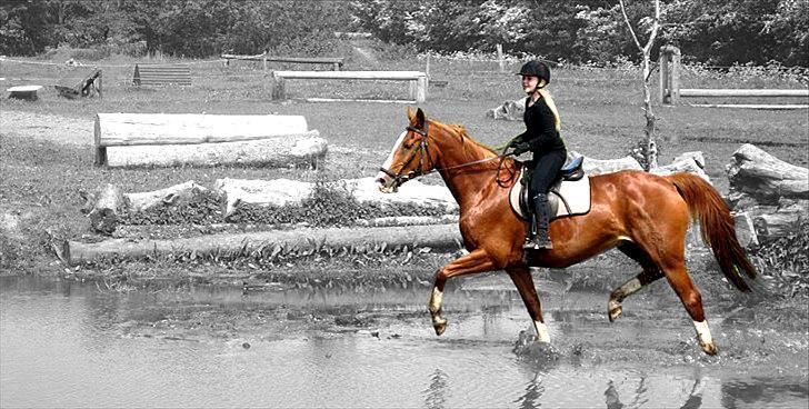 Billeder, tegninger osv. billede 18