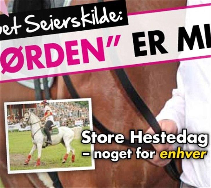 Reklame/Plakater!! NY - Forsiden af Ridehesten Junior, billede fra DM par på Storehestedag med Empire :) billede 7