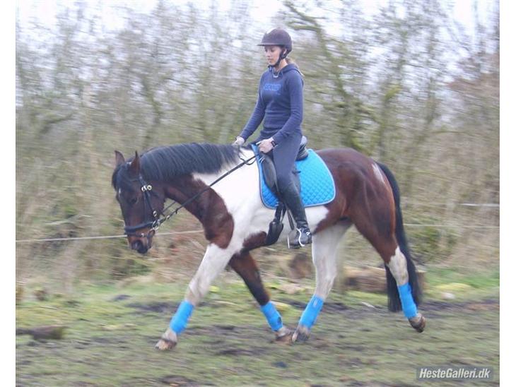 {{currentPhoto.altText}} billede {{currentPhoto.number}}