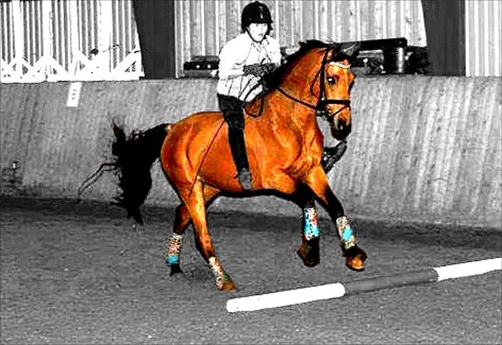 Billeder, tegninger osv. billede 19