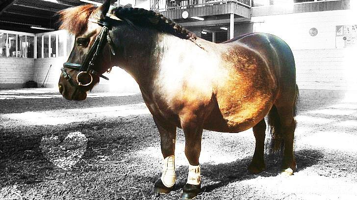 Billeder, tegninger osv. billede 21