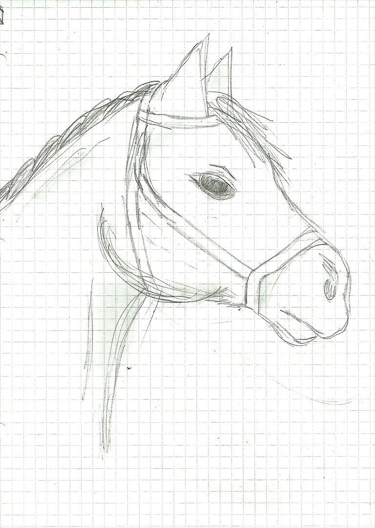 Tegninger :D   - Gammel tegning jeg tegnede videre på :P 
Tegnet præcis: Ingen anelse xD :P  billede 111