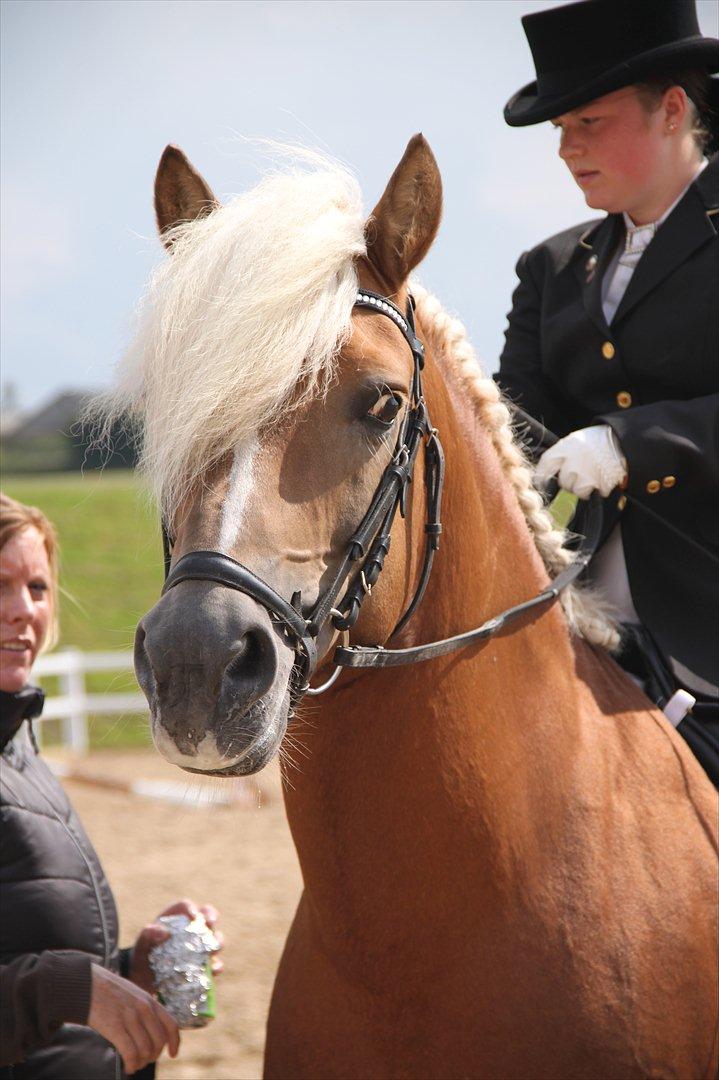 William HAH 19 & Sara Haupt - DM, Opvisning og diverse træning :) billede 132