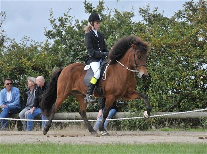 Ljúfa fra Bjergagergård - Snegla WRL stævne T.2 A-finale vi fik en god 4. plad med 5,75 i snit og 7,5 for langsom tölt!!! billede 15