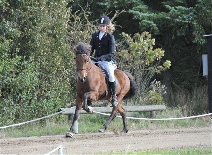Ljúfa fra Bjergagergård - Snegla WRL stævne billede 16