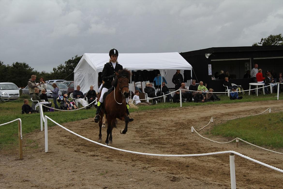 Ljúfa fra Bjergagergård billede 19