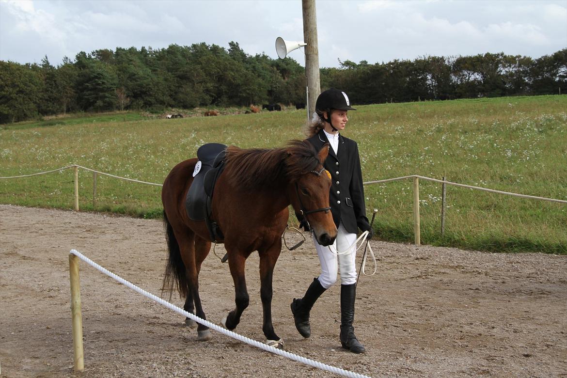 Ljúfa fra Bjergagergård billede 20