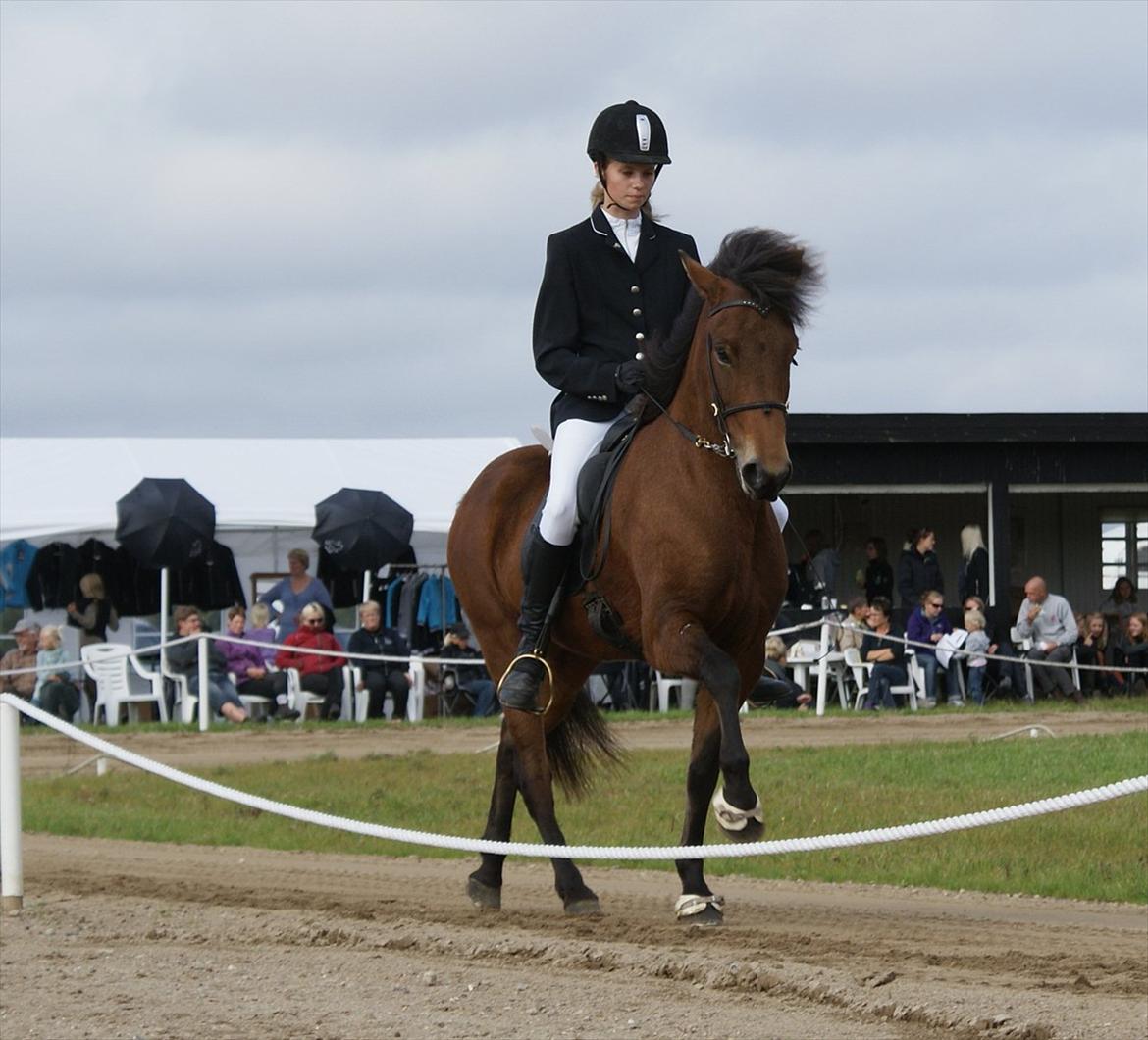 Ljúfa fra Bjergagergård billede 21