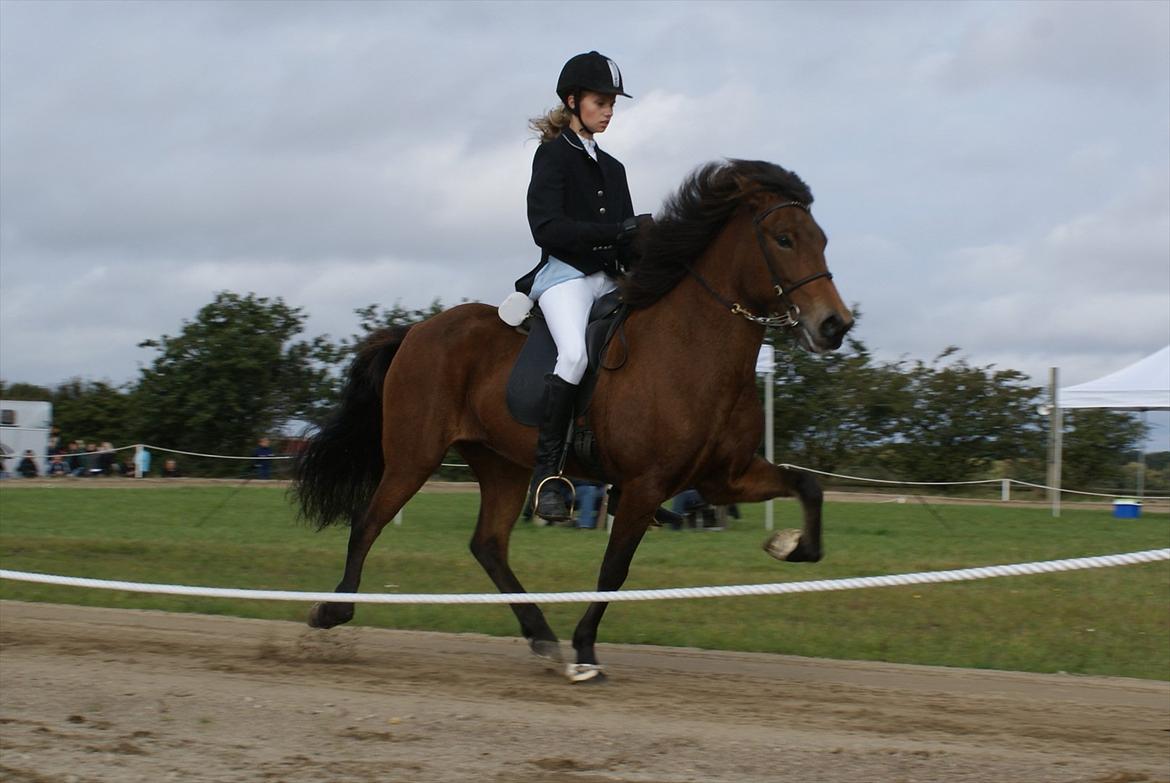 Ljúfa fra Bjergagergård billede 22