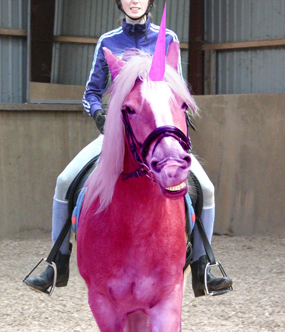 Billeder, tegninger osv. billede 24