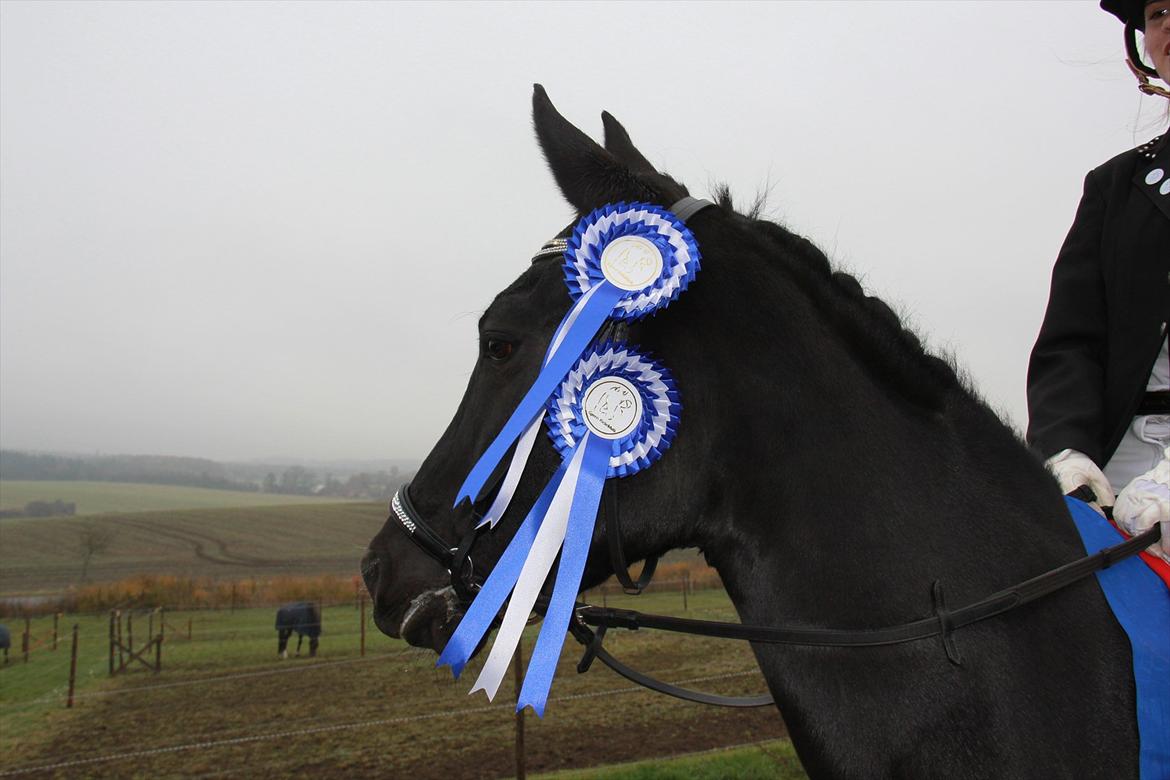 Marikka, Bettina og Lykke til Gjern Cup 2011 :D billede 6