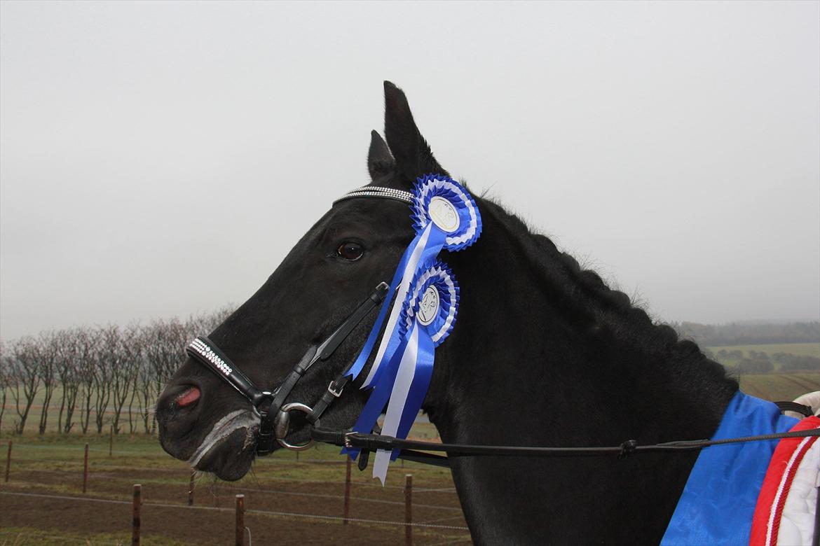 Marikka, Bettina og Lykke til Gjern Cup 2011 :D billede 7