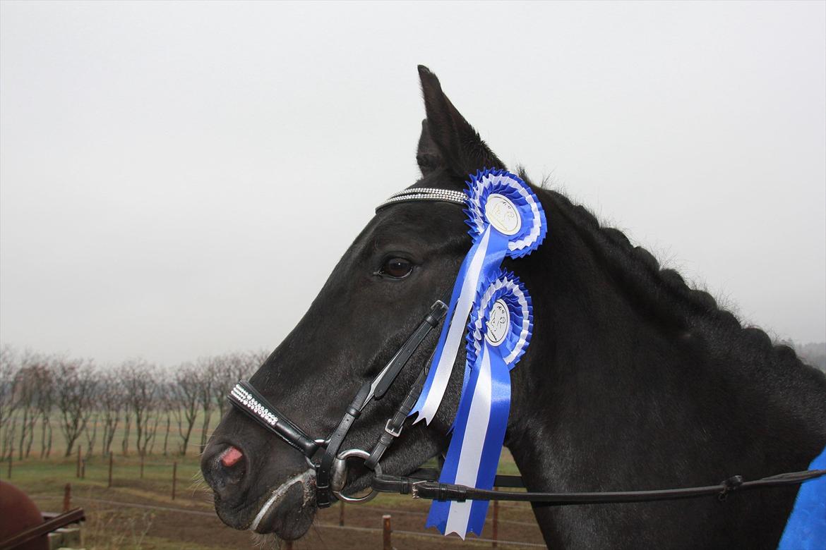 Marikka, Bettina og Lykke til Gjern Cup 2011 :D billede 8