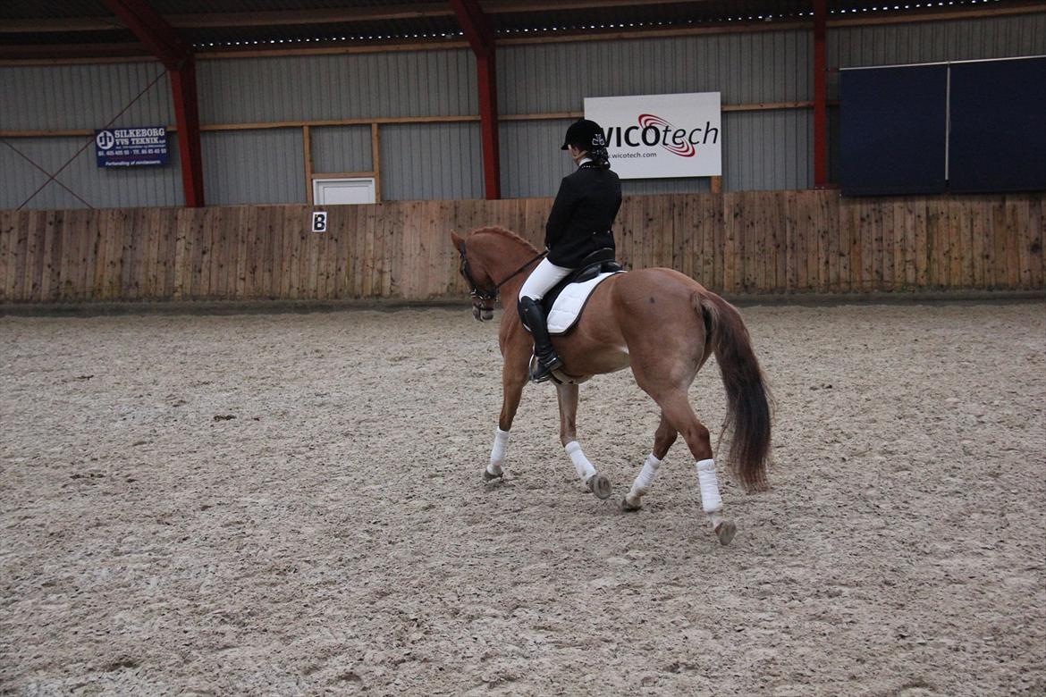 Marikka, Bettina og Lykke til Gjern Cup 2011 :D billede 9