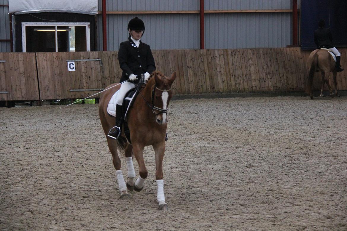 Marikka, Bettina og Lykke til Gjern Cup 2011 :D billede 10