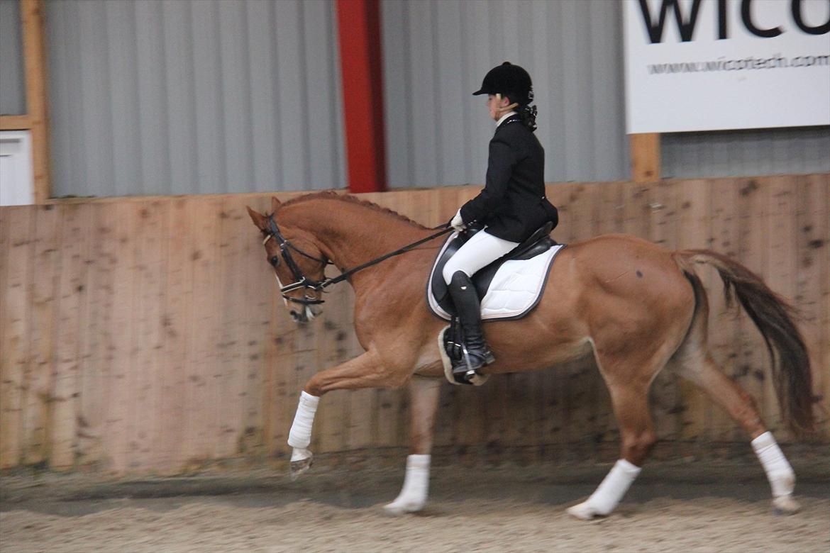 Marikka, Bettina og Lykke til Gjern Cup 2011 :D billede 11