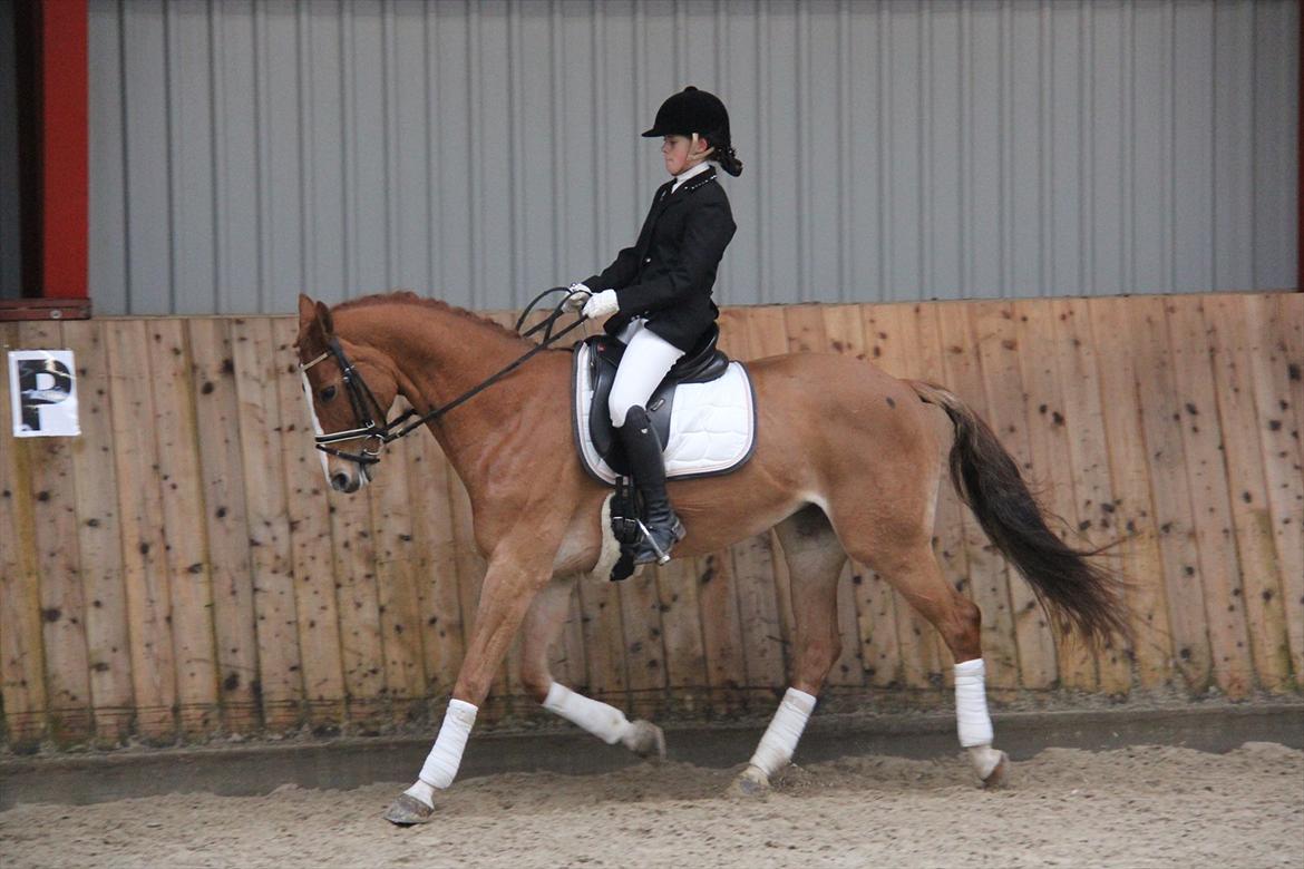 Marikka, Bettina og Lykke til Gjern Cup 2011 :D billede 12