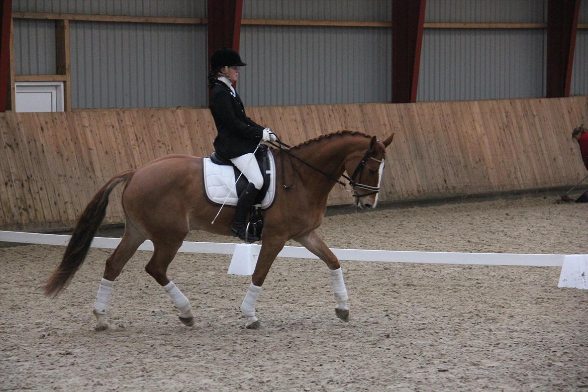 Marikka, Bettina og Lykke til Gjern Cup 2011 :D billede 14