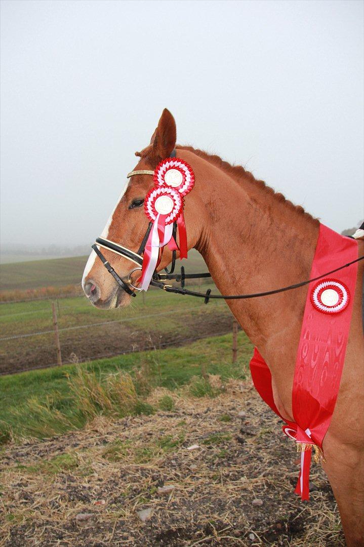 Marikka, Bettina og Lykke til Gjern Cup 2011 :D billede 26