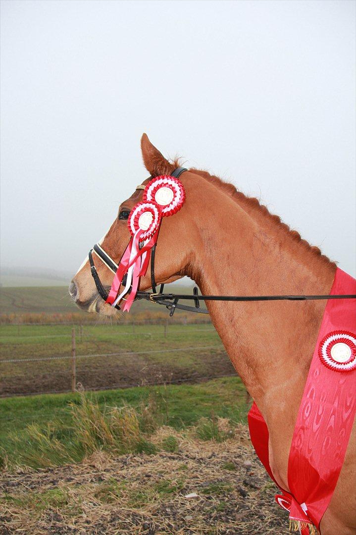 Marikka, Bettina og Lykke til Gjern Cup 2011 :D billede 27