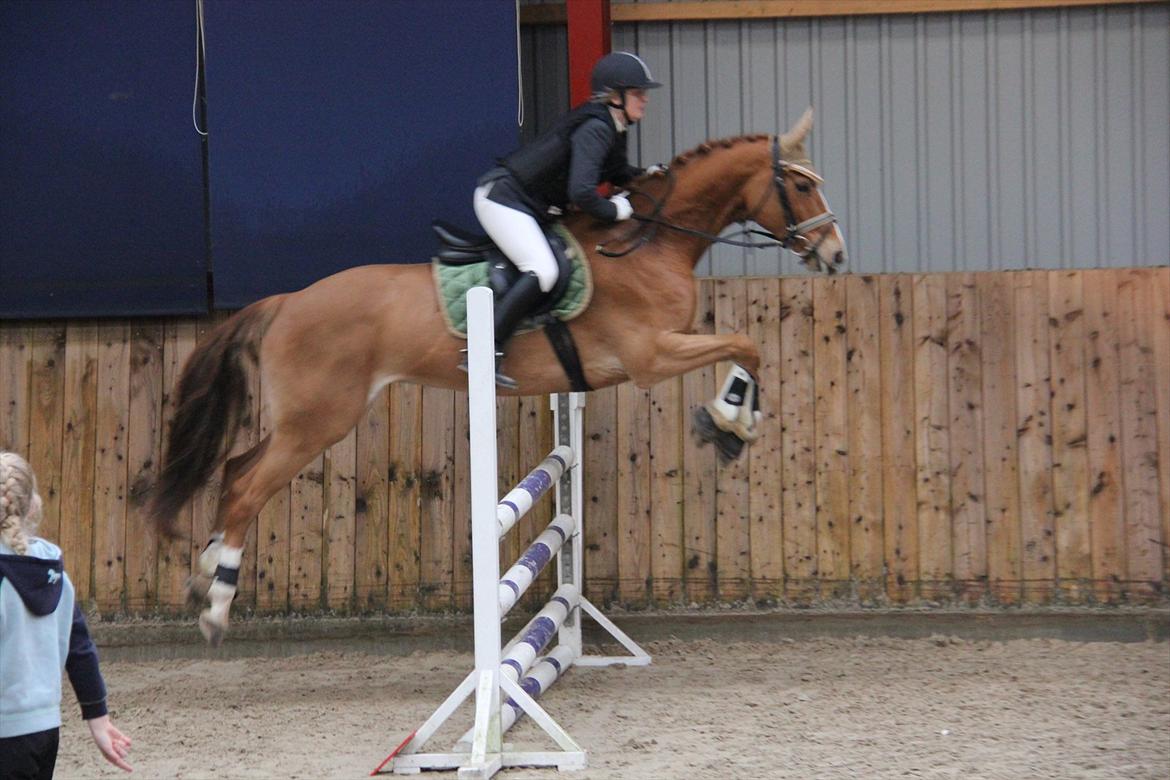 Marikka, Bettina og Lykke til Gjern Cup 2011 :D billede 55