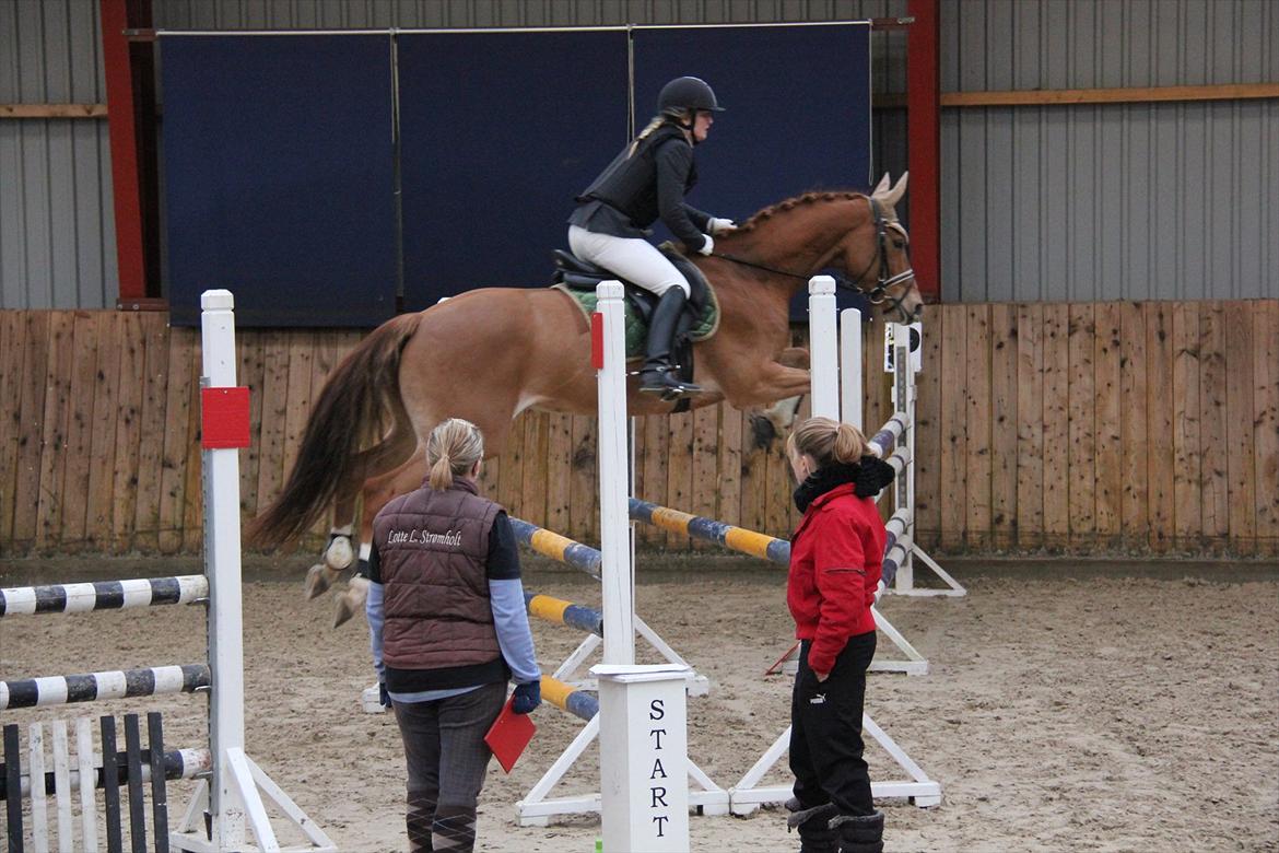 Marikka, Bettina og Lykke til Gjern Cup 2011 :D billede 61