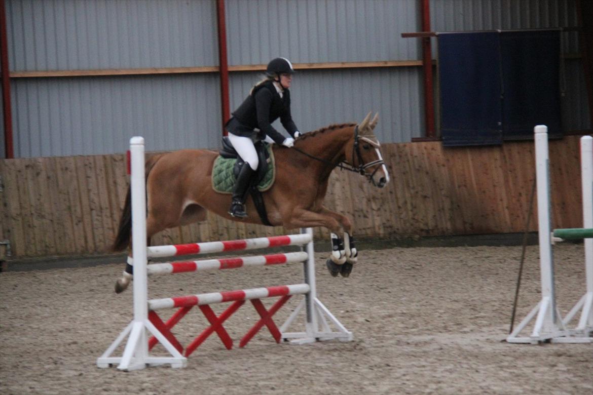 Marikka, Bettina og Lykke til Gjern Cup 2011 :D billede 65