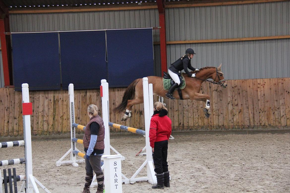 Marikka, Bettina og Lykke til Gjern Cup 2011 :D billede 67