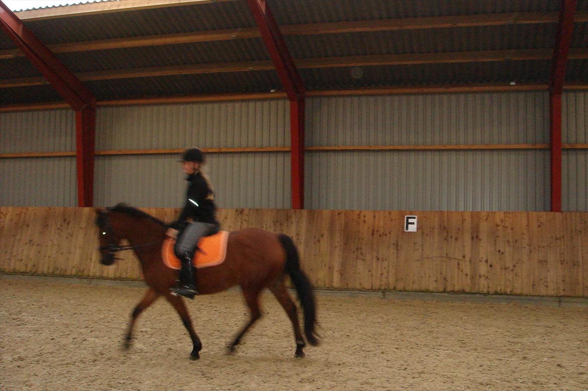 EGO Mee!:D<3 - Mig der rider på søs pony Bæklunds Anizette<3  billede 7