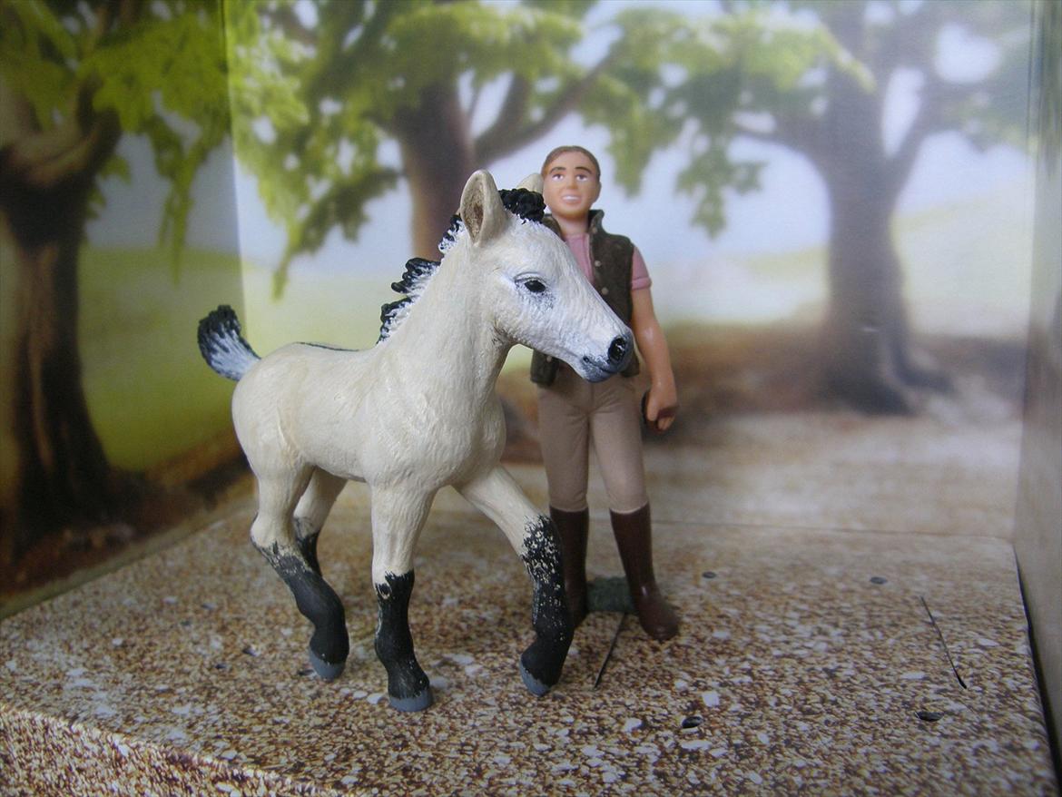 Mine Schleich Dyr - Modelmalet. Navn: Dalumgårds Fanny Race: Ukendt evt. fjordhest/connemara Køn: Hoppe Alder: 4 mdr. billede 124