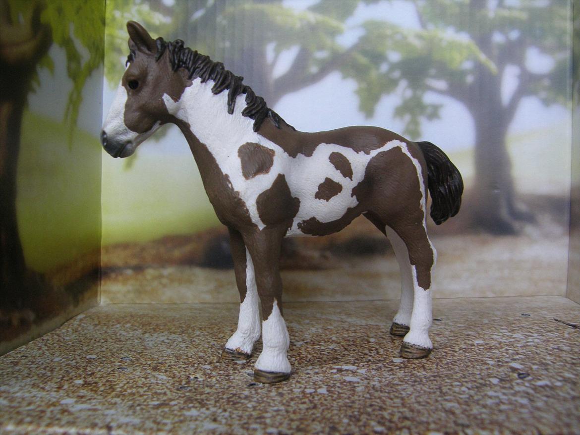 Mine Schleich Dyr - Navn: Hindbærgården's Aicha Race: Pinto Køn: Hoppe Alder: 1 år Stamtavle: Mor: Angela Far: Claud Dancing billede 114